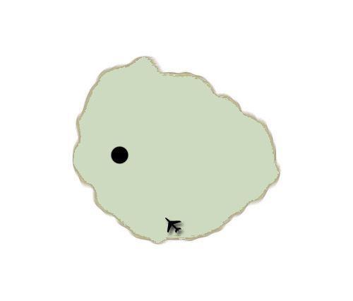 zur Grossansicht bitte Bild anklicken