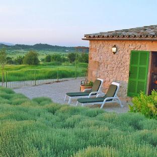 Appartement 1 Schlafzimmer